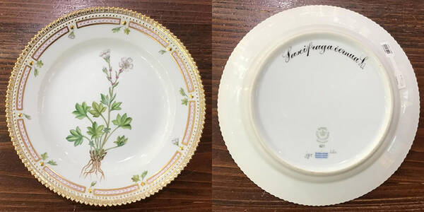 Flora Danica (1961 To Current) Salad Plate-Saxeifraga cernual L.