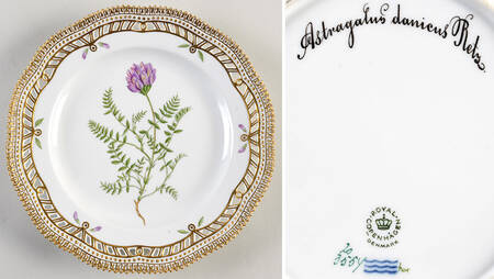 Flora Danica (1961 To Current) 9" Pierced Luncheon Plate/Fruit Std-Astragalus danicus Retz.
