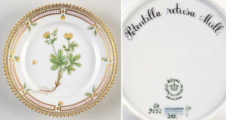 Flora Danica (1961 To Current) Bread & Butter Plate-Potentilla retusa Miill