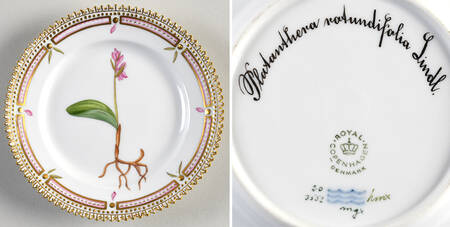 Flora Danica (1961 To Current) Bread & Butter Plate-Platanthera rotundifolia Lindl.