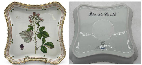 Flora Danica (1961 To Current) 9" Square Tray-Rubus vestitus Whe. N.E.