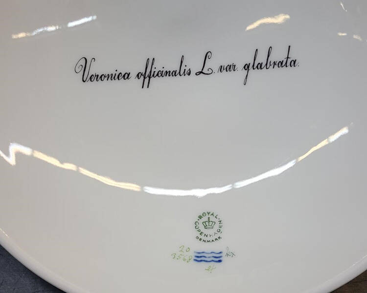 Flora Danica (1961 To Current) Lid for Round Vegetable-Veronica officinalis L var glabruta