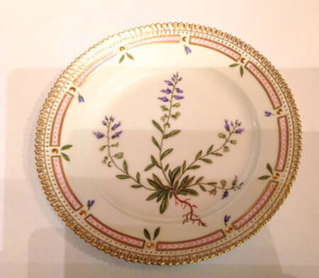 Flora Danica (1961 To Current) Salad Plate-Coptis Trifolia Infol salisle