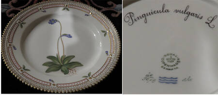 Flora Danica (1961 To Current) Salad Plate-Pinguicula vulgaris L