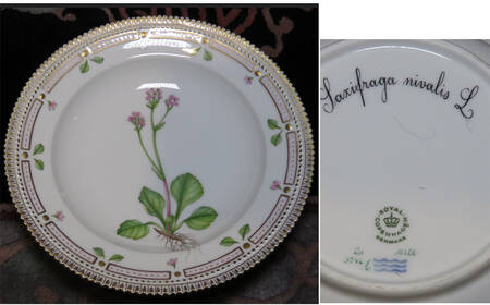 Flora Danica (1961 To Current) Rim Soup Bowl-Saxifraga nivalis L
