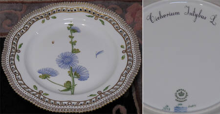 Flora Danica (1961 To Current) 10" Pierced Dinner Plate/Fruit Std-Cichorium Intybus L