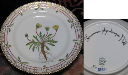 Flora Danica (1961 To Current) Salad Plate-Taraxacum phymatocarpum J. Vahl
