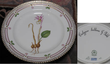 Flora Danica (1961 To Current) Salad Plate-Calypso bulbosa G Rehb