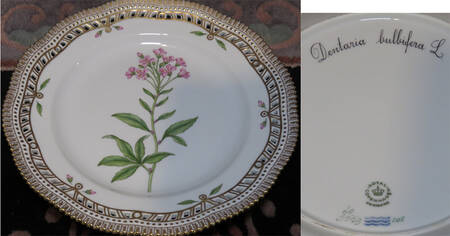 Flora Danica (1961 To Current) 10" Pierced Dinner Plate/Fruit Std-Dentaria bulbifera L