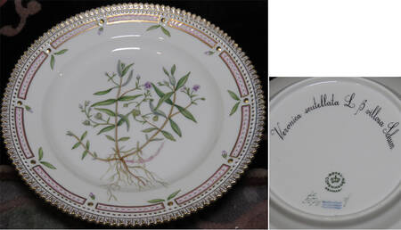 Flora Danica (1961 To Current) Salad Plate-Veronica scutellata L B villosa Schum