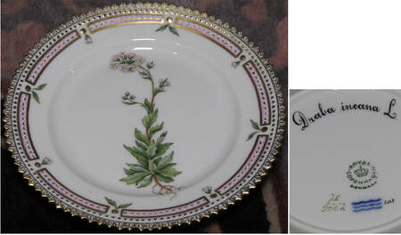 Flora Danica (1961 To Current) Bread & Butter Plate-Draba incana L