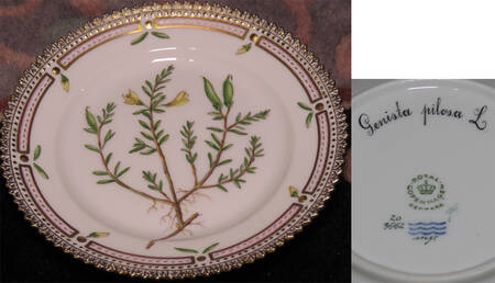 Flora Danica (1961 To Current) Bread & Butter Plate-Genista pilosa L.