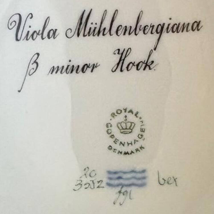 Flora Danica (1961 To Current) Large Sugar Bowl & Lid-Viola Muhlenbergiana B minor Hook