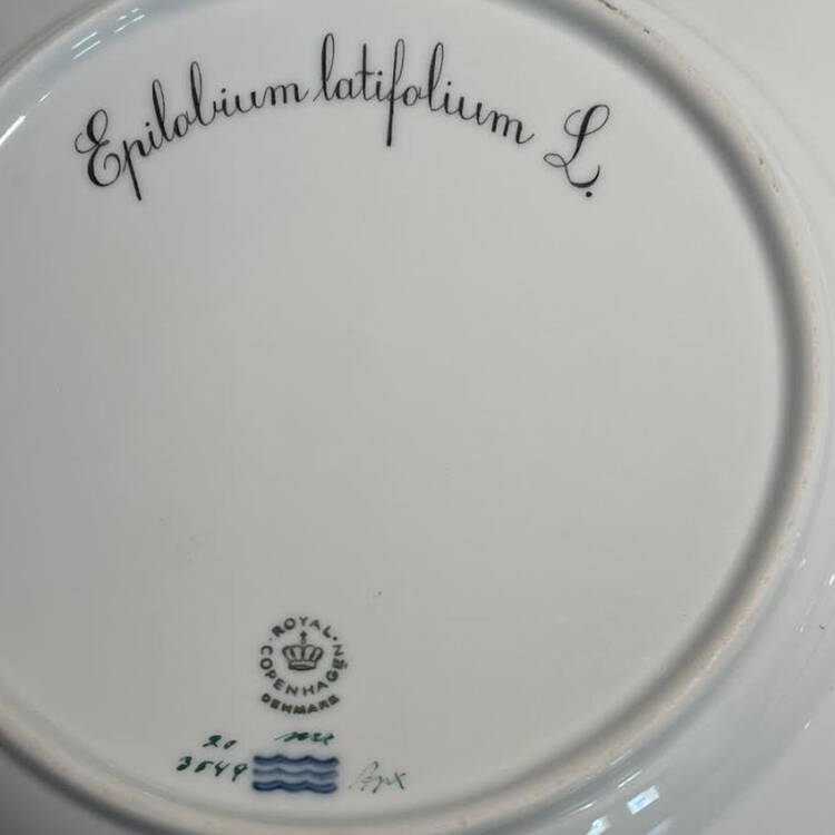 Flora Danica (1961 To Current) Dinner Plate-Epilobium latifolium L.
