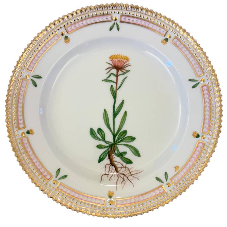 Flora Danica (1961 To Current) Salad Plate-Erigeron uniflorus L.