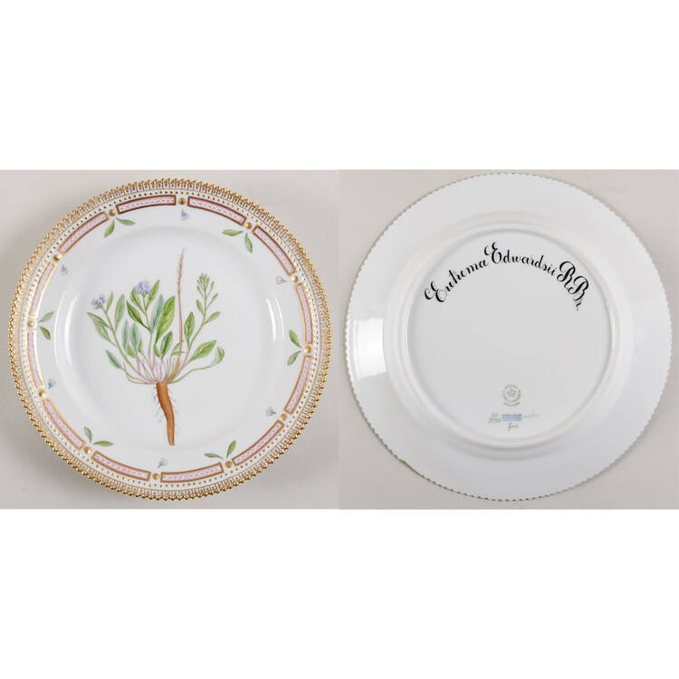 Flora Danica (1961 To Current) Luncheon Plate-Eutrema Edwardsii R Br.
