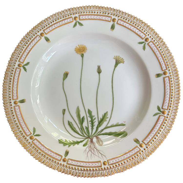 Flora Danica (1961 To Current) Dinner Plate-Thrincia hirta Rath