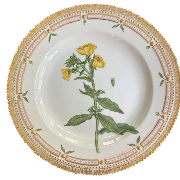 Flora Danica (1961 To Current) Dinner Plate-Oenothera biennis L
