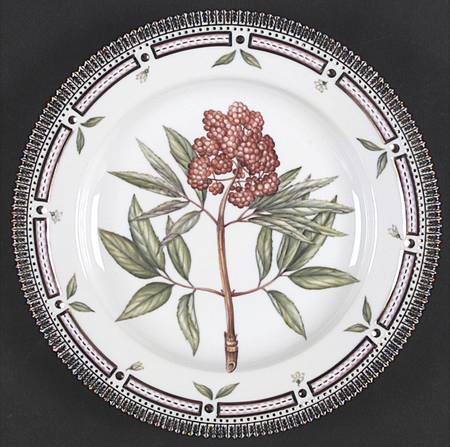 Flora Danica (1961 To Current) Dinner Plate
