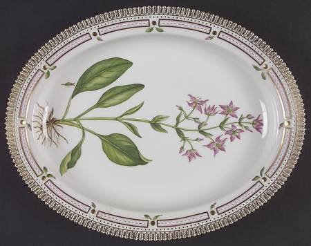Flora Danica (1961 To Current) 14" Oval Serving Platter-Swertia perennis L