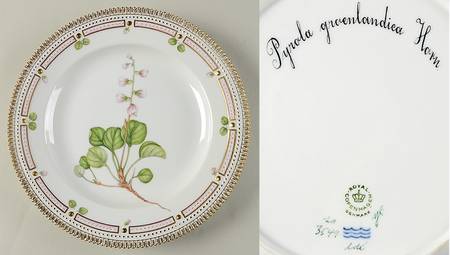 Flora Danica (1961 To Current) Dinner Plate-Pyrola groeenlandica Horn.