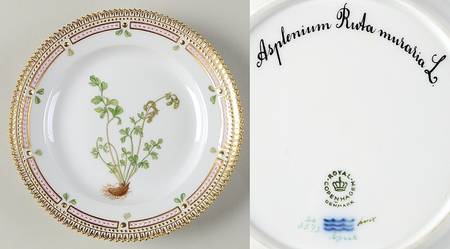Flora Danica (1961 To Current) Salad Plate-Asplenium Ruta muraria L