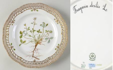 Flora Danica (1961 To Current) 10" Pierced Dinner Plate/Fruit Std-Fragaria steril