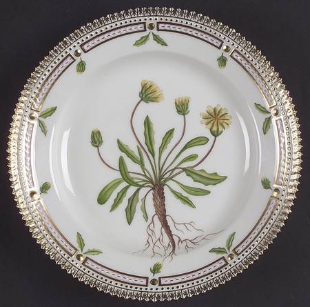 Flora Danica (1961 To Current) Salad Plate-Taraxacum phymatocarpum J Vahl
