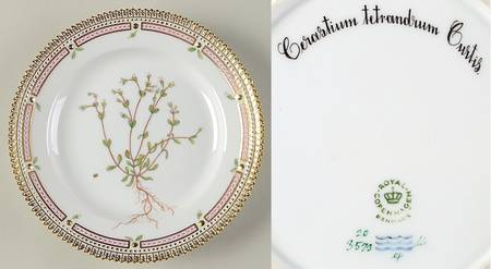 Flora Danica (1961 To Current) Salad Plate-Cerastium tetrandrum Curtis