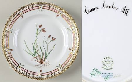 Flora Danica (1961 To Current) Salad Plate-Carex bicolor All