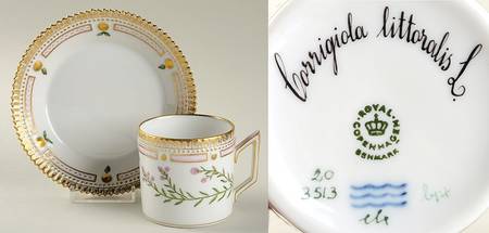 Flora Danica (1961 To Current) Chocolate Cup & Serrated Saucer-Corrigiola littora
