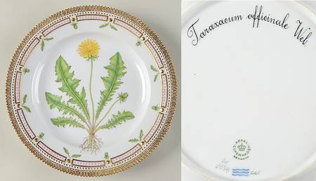 Flora Danica (1961 To Current) Dinner Plate-Taraxacum officinale Web