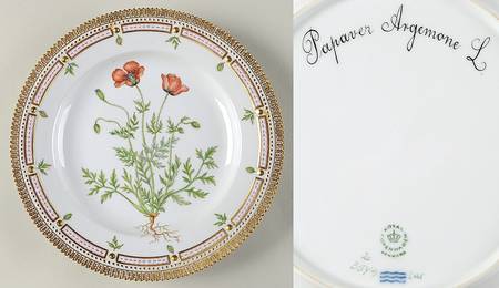 Flora Danica (1961 To Current) Dinner Plate-Papaver Argemone L.