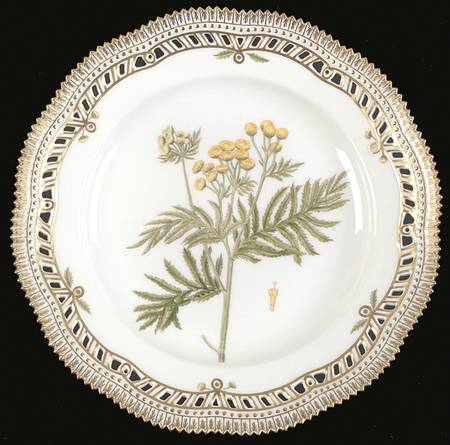 Flora Danica (1961 To Current) 9" Pierced Dinner Plate/Fruit Std-Tanacetum vulga