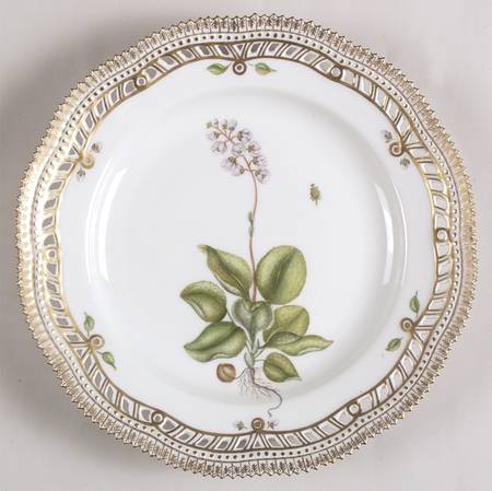 Flora Danica (1961 To Current) 10" Pierced Dinner Plate/Fruit Std-Pyrola minor L