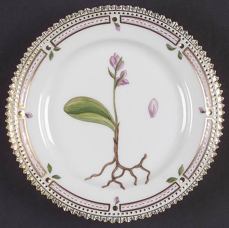 Flora Danica (1961 To Current) Bread & Butter Plate-Platanthera solstitialis b