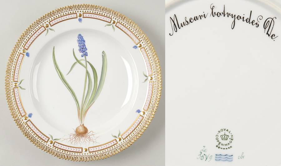 Flora Danica (1961 To Current) Dinner Plate-Muscari botryoides Dc