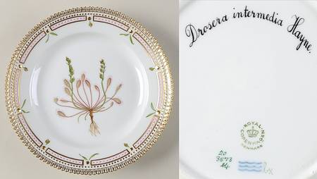Flora Danica (1961 To Current) Salad Plate-Drosera intermedia Hayne