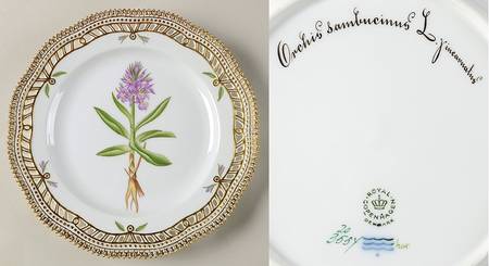 Flora Danica (1961 To Current) 9" Pierced Luncheon Plate/Fruit Std-Orchis sambuci