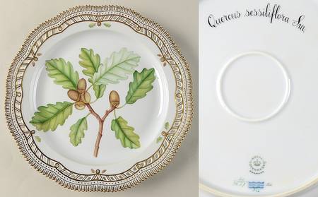 Flora Danica (1961 To Current) 11" Round Pierced Platter-Quercus sessififlora Sm.