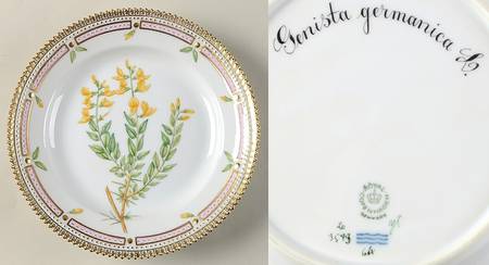 Flora Danica (1961 To Current) Salad Plate-Genista germanica L.