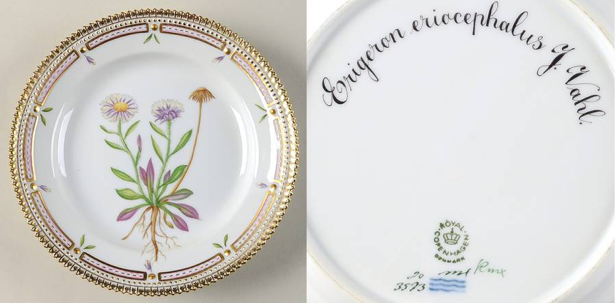 Flora Danica (1961 To Current) Salad Plate-Erigeron eriocephalus J Vahl