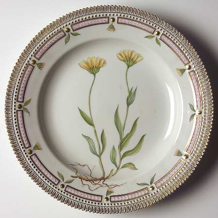 Flora Danica (1961 To Current) Dinner Plate-Arnica angustifolia Vahl