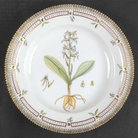 Flora Danica (1961 To Current) Dinner Plate-Platanthera solstitialis b densiflora