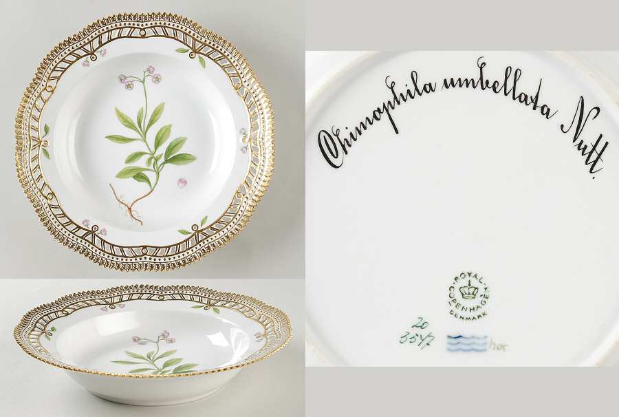 Flora Danica (1961 To Current) Pierced Large Rim Soup Bowl-Chimaphila umbellata N