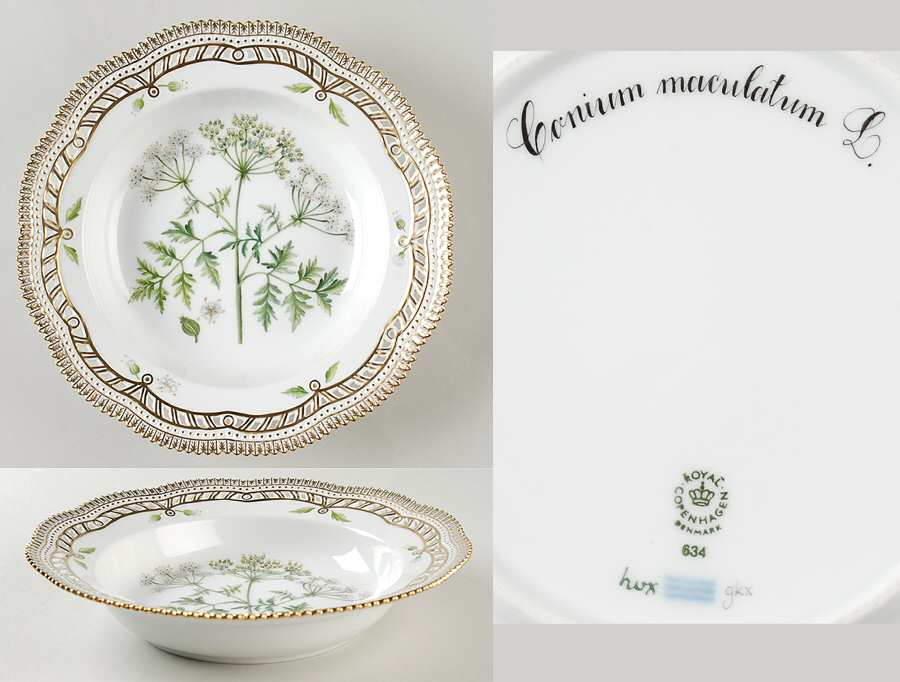 Flora Danica (1961 To Current) Pierced Large Rim Soup Bowl-Conium maculatum L