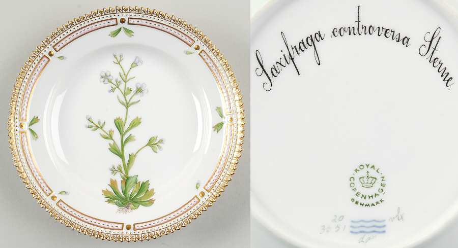 Flora Danica (1961 To Current) Dessert/Pie Plate-Saxifraga controversa Sternb