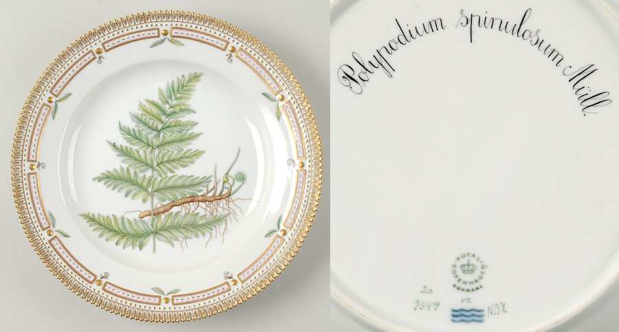 Flora Danica (1961 To Current) Dinner Plate-Polypodium spinulosum Mull