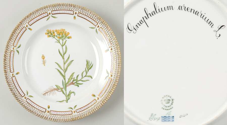 Flora Danica (1961 To Current) Dinner Plate-Gnaphalium arenarium L