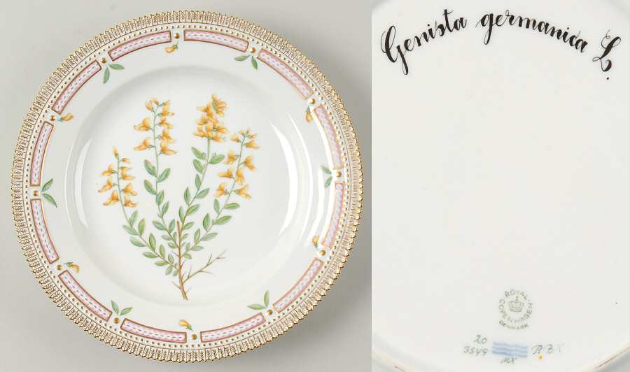Flora Danica (1961 To Current) Dinner Plate-Genista germanica L